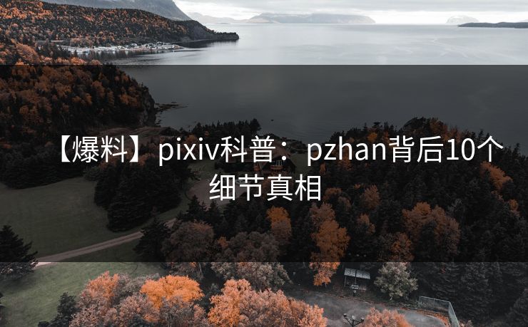 【爆料】pixiv科普：pzhan背后10个细节真相