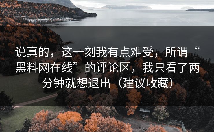 说真的，这一刻我有点难受，所谓“黑料网在线”的评论区，我只看了两分钟就想退出（建议收藏）