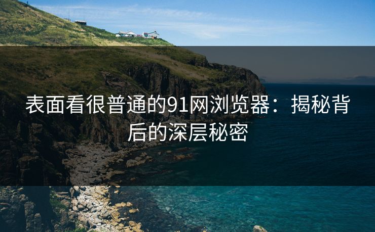 表面看很普通的91网浏览器:揭秘背后的深层秘密