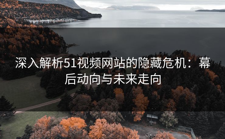 深入解析51视频网站的隐藏危机:幕后动向与未来走向