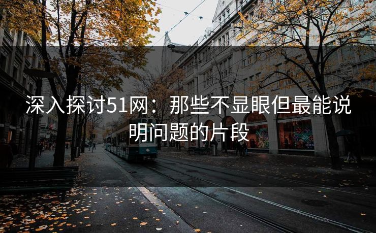 深入探讨51网:那些不显眼但最能说明问题的片段